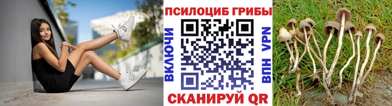 ОМГ ОМГ ссылка  Бежецк  Псилоцибиновые грибы Cubensis 